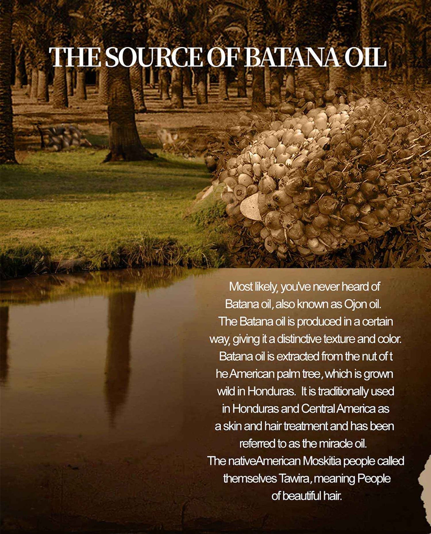 Batana Hair Care Oil