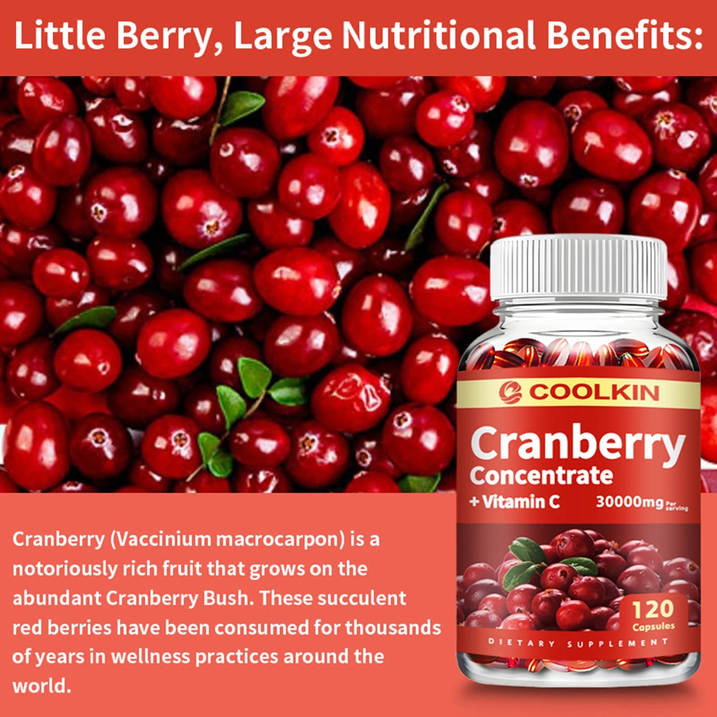 Cranberry - Supports Urinary System Health Bladder Health Potent Antioxidant Rich Vita C Capsule Supplement - 120 Capsules