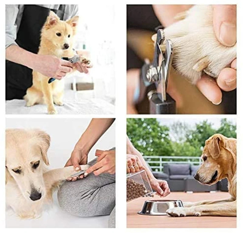 Professional Pet Nail Clipper with Safety Guard Stainless Steel Scissors Cat Dog for Claw Care Grooming Supplies Size Fits - AMULET RING STORE