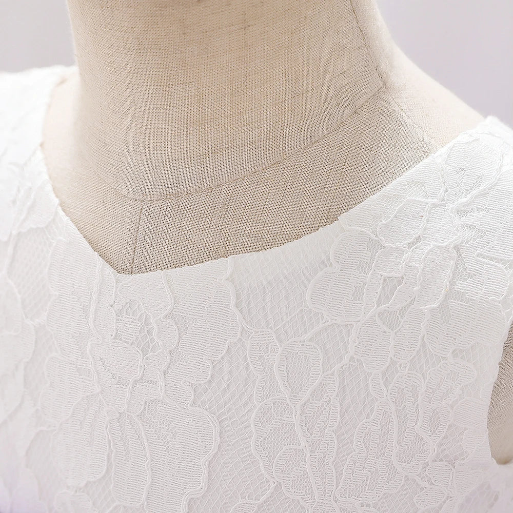 Newborn Long Sleeve Baby Girl Dresses Party Wedding Girl Lace Big Bow Dresses Infant Girl 1st Birthday Princess Baptism Dress