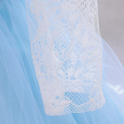 Newborn Long Sleeve Baby Girl Dresses Party Wedding Girl Lace Big Bow Dresses Infant Girl 1st Birthday Princess Baptism Dress