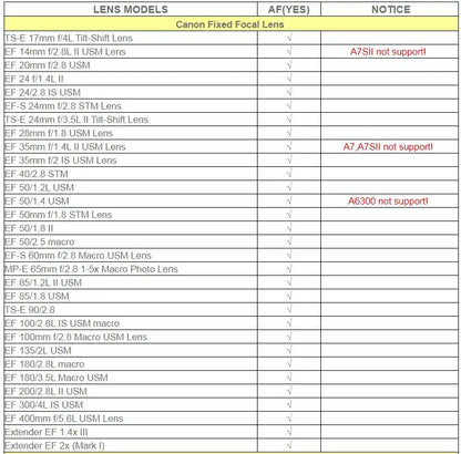 Commlite CM-EF-NEX Auto-Focus Lens Mount Adapter for Canon EF Lens to use for Sony NEX Mount Cameras - AMULET RING STORE