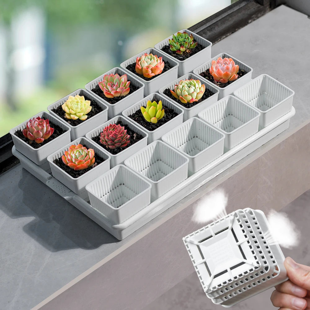 Meshpot Succulent Pots Succulent Planters with Tray Plastic Succulent Cactus Pot with holes Square Succulent Seedlings Pot Match - AMULET RING STORE