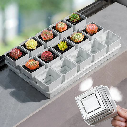 Meshpot Succulent Pots Succulent Planters with Tray Plastic Succulent Cactus Pot with holes Square Succulent Seedlings Pot Match - AMULET RING STORE