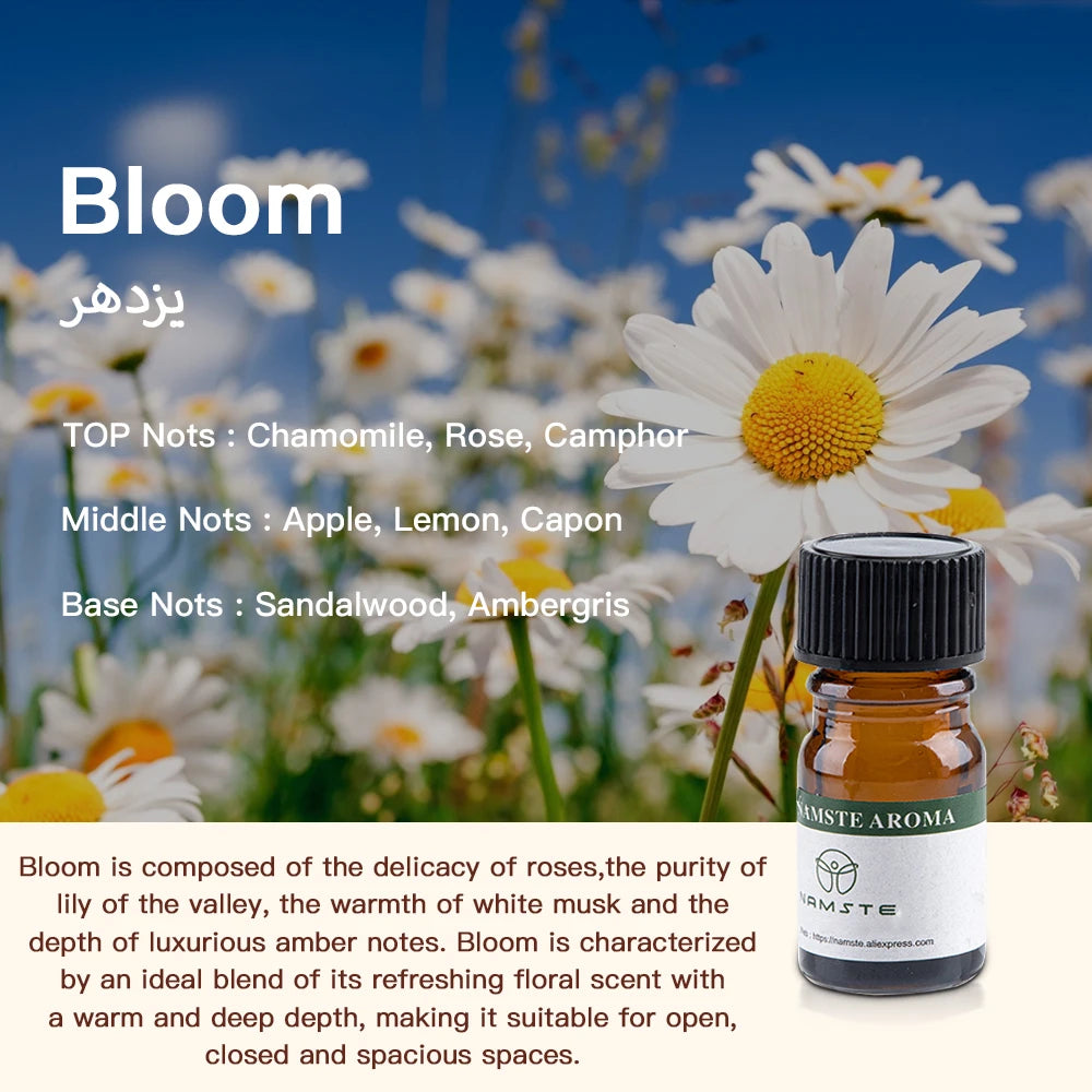 10 Flavors Aromatic Oils for Aroma Diffuser Air Humidifier Home Natural Oil 10ml Air Freshener Scents Fragrance Oil Perfume - AMULET RING STORE