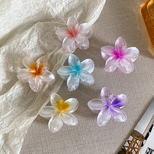 AISHG Fashion Women Flower Hair Claws Hawaiian Gradient Hair Clips Vacation Beach Style Hairpins Hair Accessories - AMULET RING STORE