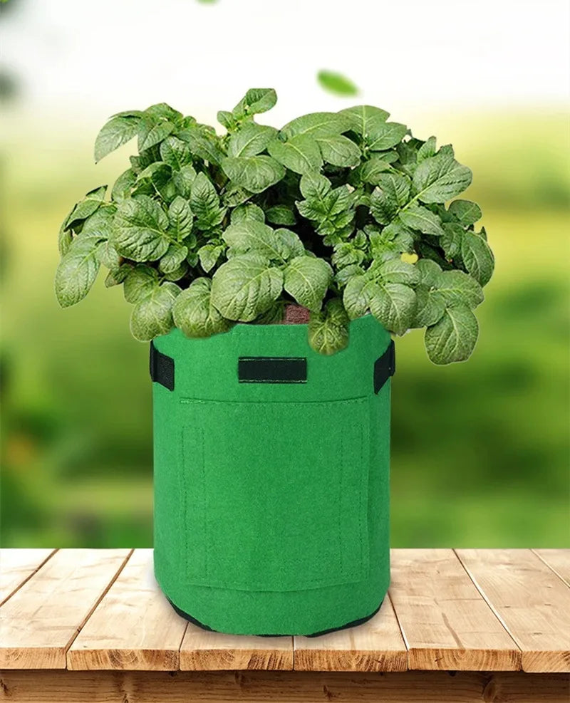 2 Size Felt plant grow bags nonwoven fabric garden potato pot greenhouse vegetable growing bags moisturizing vertical tools - AMULET RING STORE