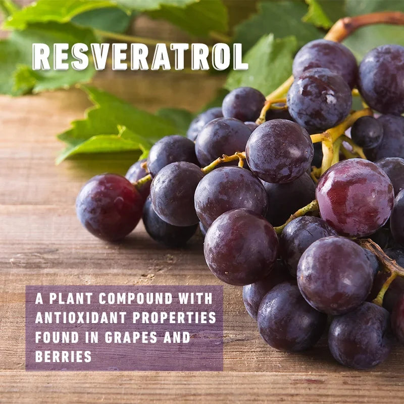 Resveratrol Complex - Support Circulatory Health, Healthy Aging, Antioxidants, Cardiovascular Health, Promotes Smooth Skin - AMULET RING STORE