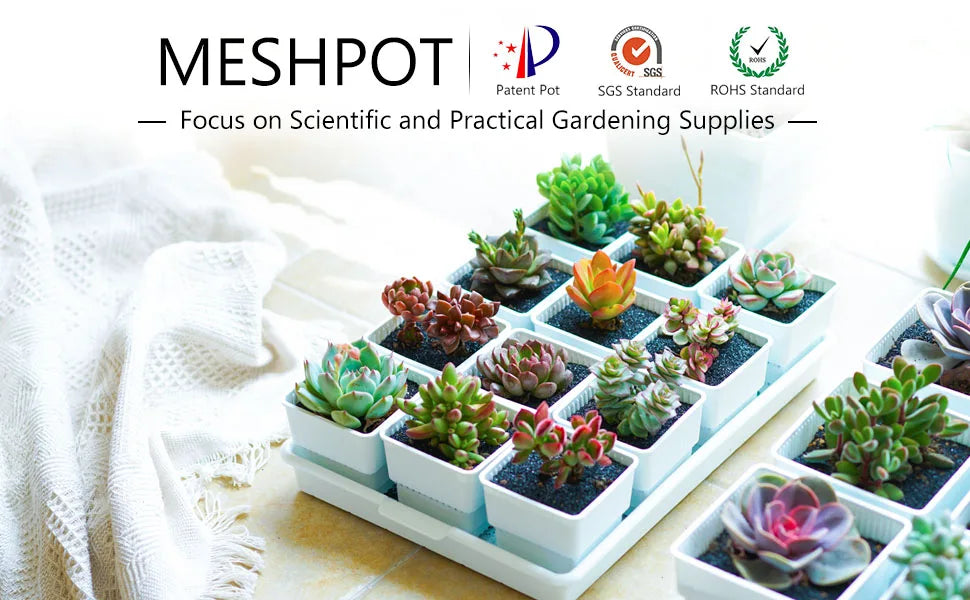 Meshpot Succulent Pots Succulent Planters with Tray Plastic Succulent Cactus Pot with holes Square Succulent Seedlings Pot Match - AMULET RING STORE