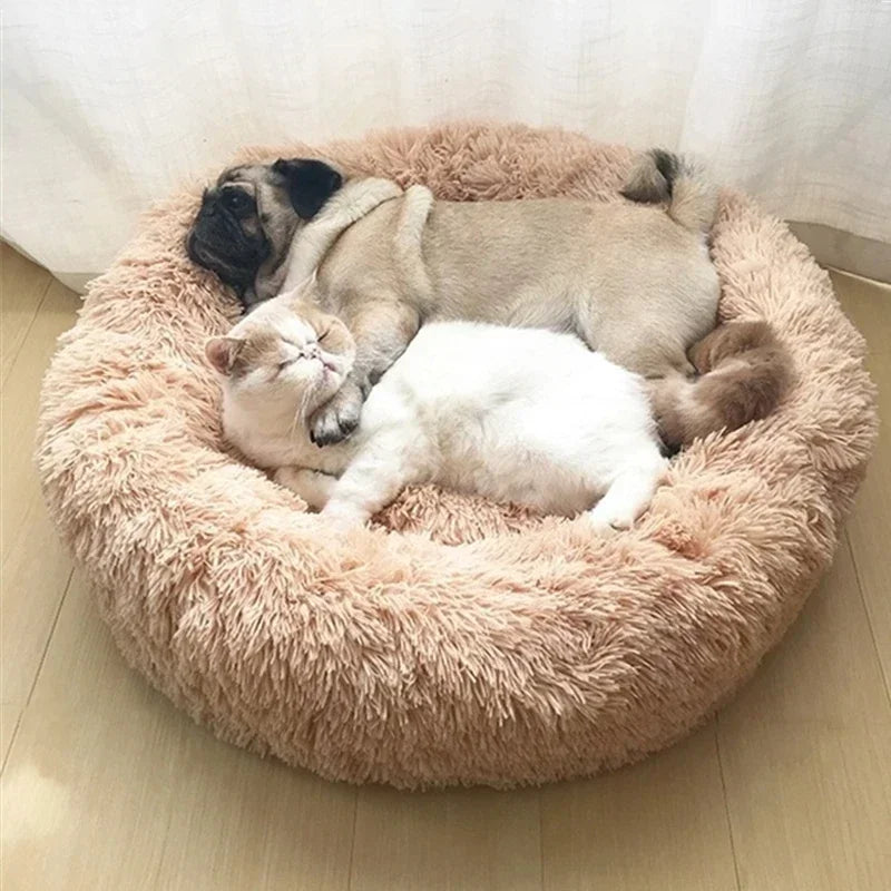 Round Cat Beds House Soft Long Plush Best Pet Dog Bed For Dogs Basket Pet Products Cushion Cat Bed Cat Mat Animals Sleeping Sofa - AMULET RING STORE