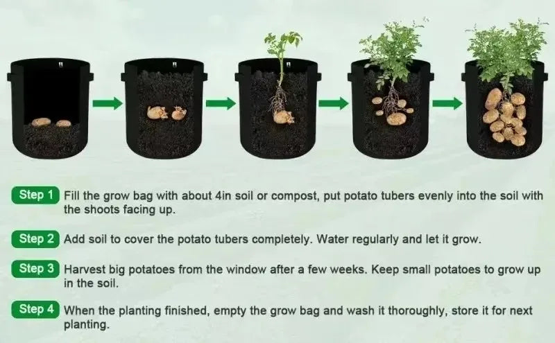 2 Size Felt plant grow bags nonwoven fabric garden potato pot greenhouse vegetable growing bags moisturizing vertical tools - AMULET RING STORE