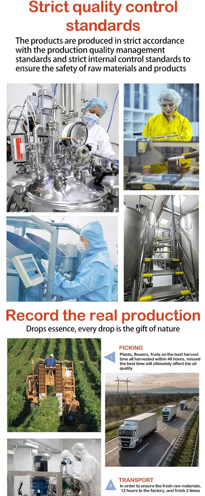 Pore Shrinking Serum Face Removing Large Pores Tightening Facial Pore Minimizing Essence Skin Care Beauty Firm skin - AMULET RING STORE