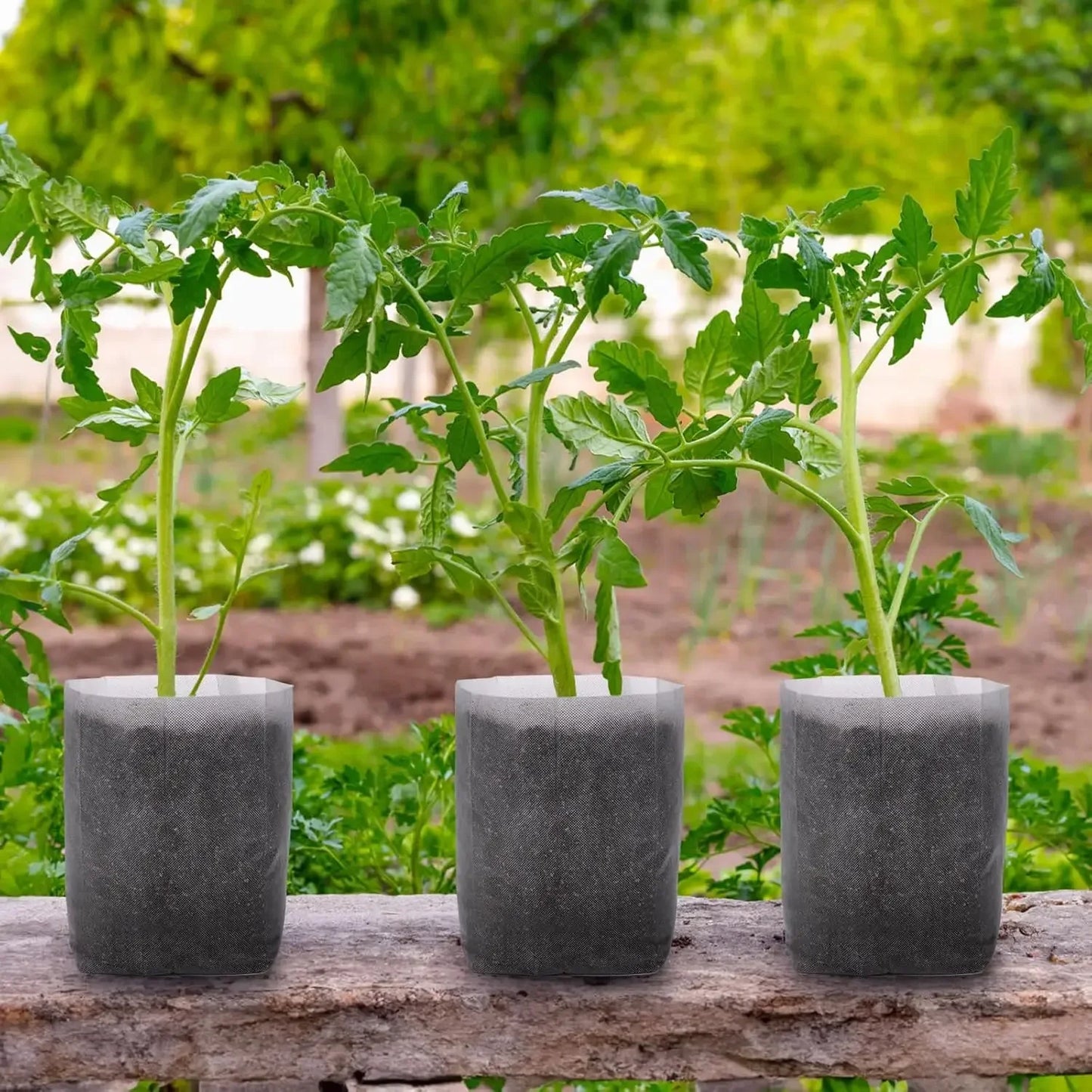 100PCS Breathable Plant Nursery Bags Biodegradable Grow Pots Fabric Seedling Containers Home Gardening Essentials - AMULET RING STORE