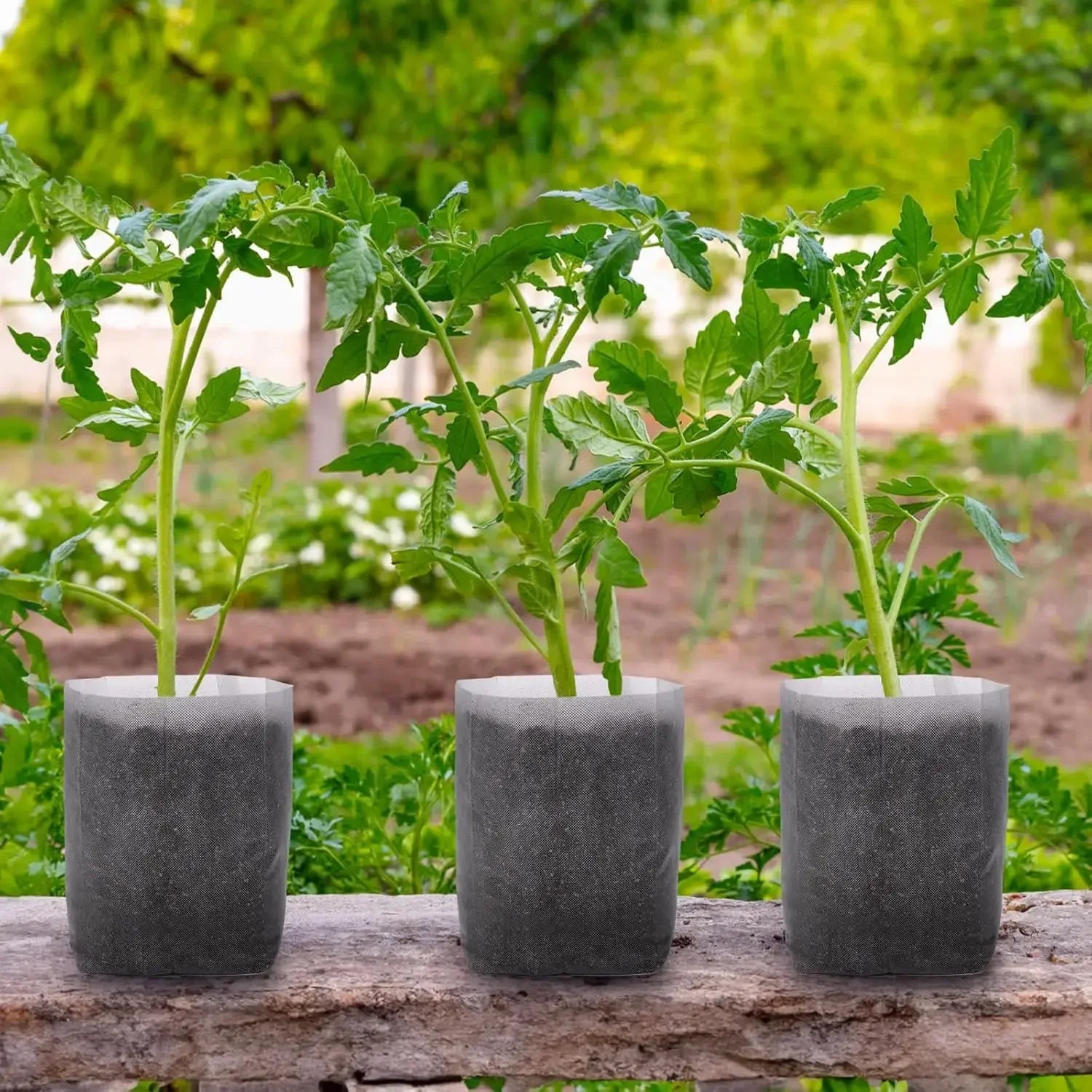 100PCS Breathable Plant Nursery Bags Biodegradable Grow Pots Fabric Seedling Containers Home Gardening Essentials - AMULET RING STORE