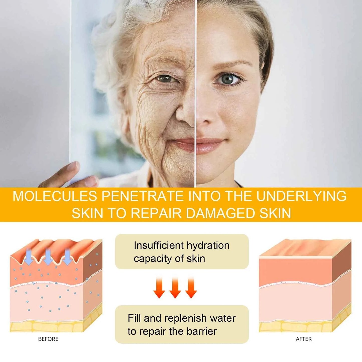 Eelhoe Ginseng Face Anti Wrinkle Serum Reduce Fine Lines Tightening Hydrating Anti-aging Plumping Face Smooth Skin Care Serum