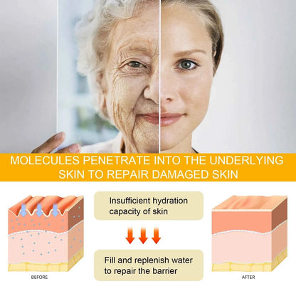 Eelhoe Ginseng Face Anti Wrinkle Serum Reduce Fine Lines Tightening Hydrating Anti-aging Plumping Face Smooth Skin Care Serum