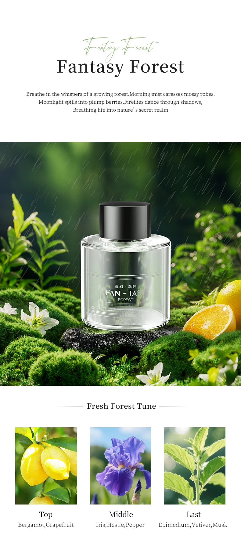 Car Diffuser Home Dual-Use Rechargeable Aromatherapy With Atmosphere Lights Smart Spray Car Air Freshener Fragrance Diffuser - AMULET RING STORE