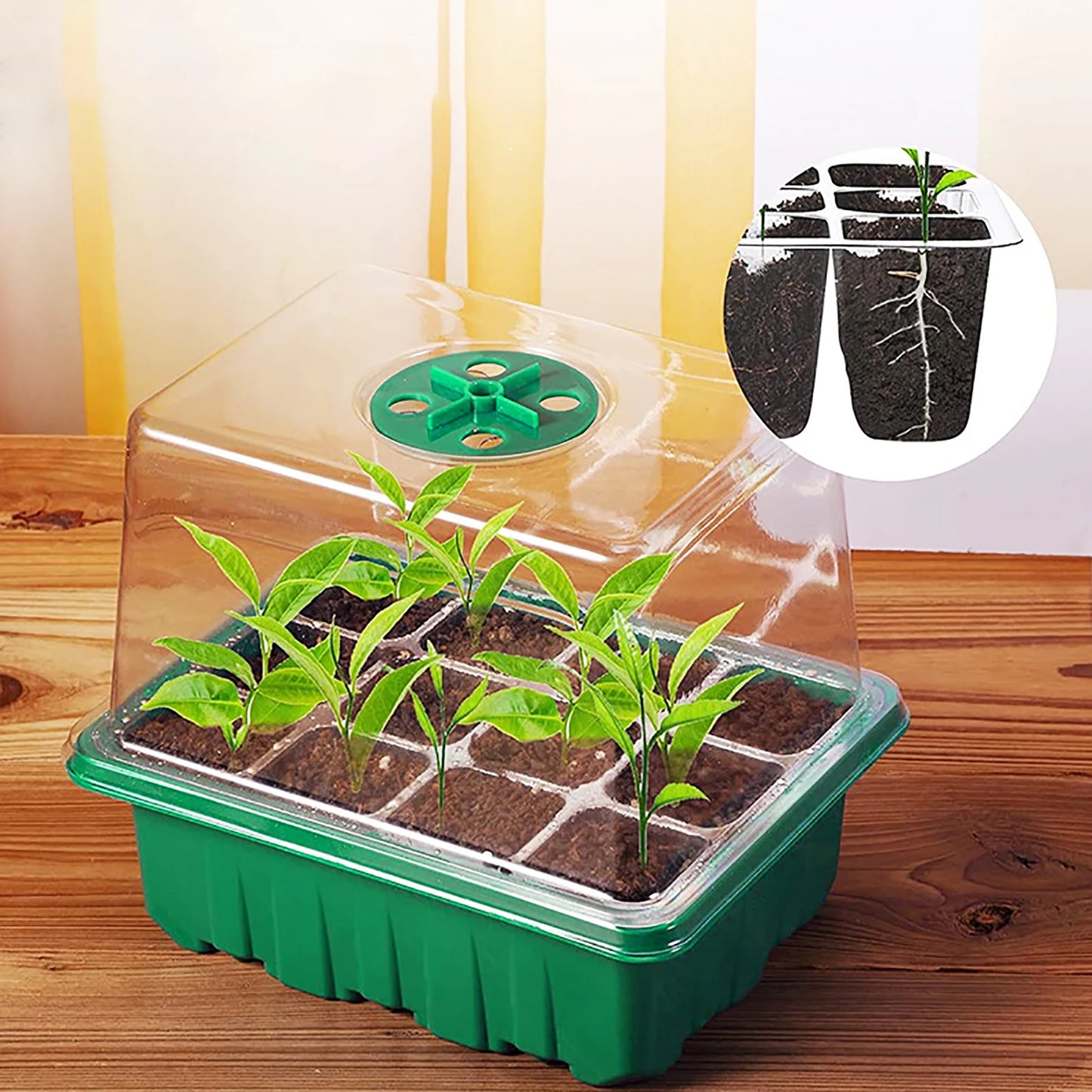 Higher Cover Nursery Tray Box with Growing light 6/12 Cell LED Full Spectrum Seedling Succulent Flower Planting Germination Pot - AMULET RING STORE