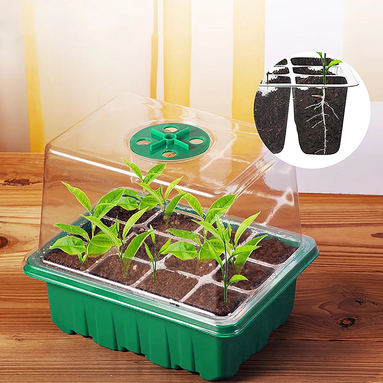 Higher Cover Nursery Tray Box with Growing light 6/12 Cell LED Full Spectrum Seedling Succulent Flower Planting Germination Pot - AMULET RING STORE
