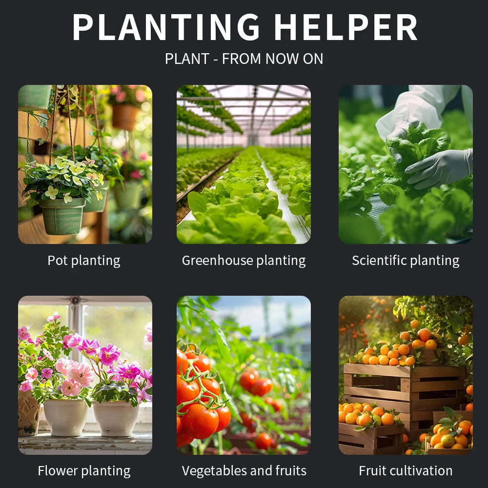 90° Digital 6 in 1 Multifunctional Soil PH Temperature Meter Farm Garden Fertility Moisture Sunlight Humidity Tester Detector - AMULET RING STORE