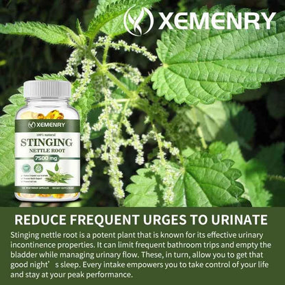 Stinging Nettle Root Capsules - Promotes Prostate and Urinary Tract Health, Reduces Urinary FrequencyCapsule