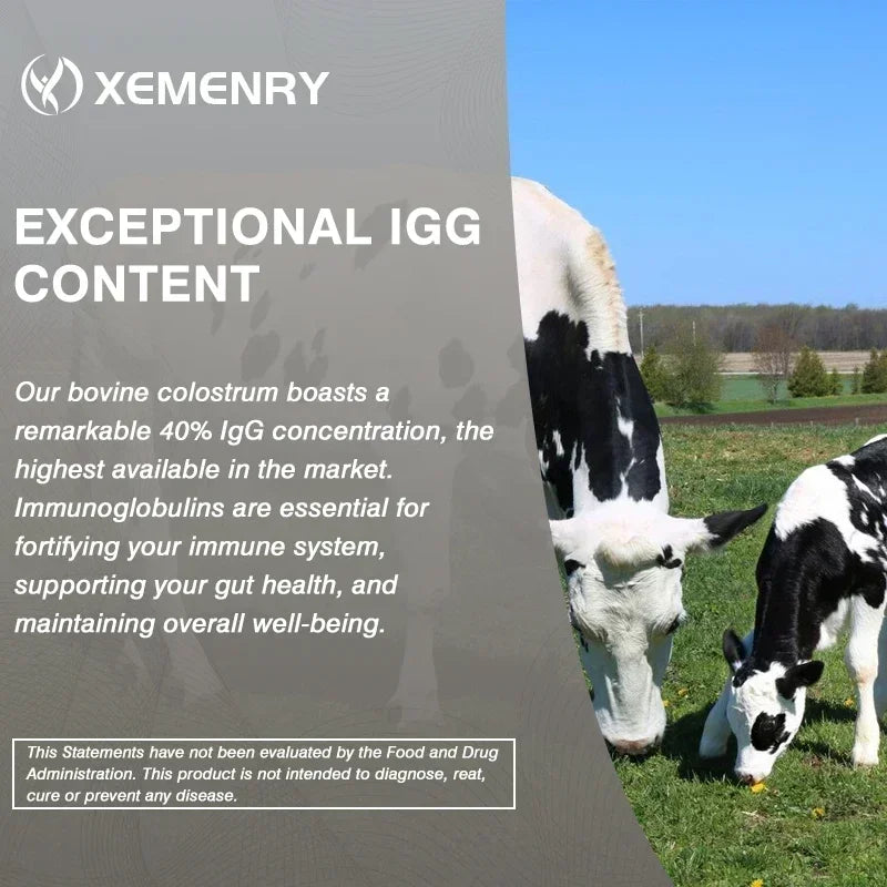 Colostrum Capsules - 40% LgG - Support Intestinal and Digestive Health, Hair, Nails, Skin and Muscle Health - AMULET RING STORE