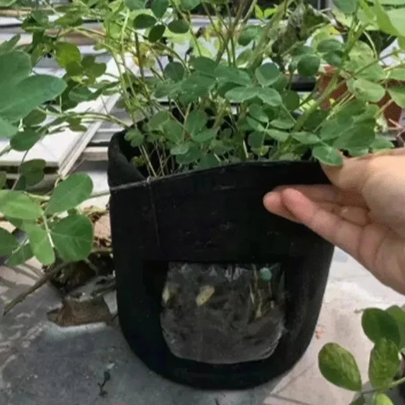 2 Size Felt plant grow bags nonwoven fabric garden potato pot greenhouse vegetable growing bags moisturizing vertical tools - AMULET RING STORE