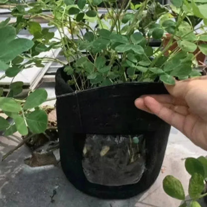 2 Size Felt plant grow bags nonwoven fabric garden potato pot greenhouse vegetable growing bags moisturizing vertical tools - AMULET RING STORE