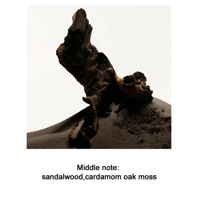 100ML Brand Perfume: Flirting Pheromone | Long - Lasting Romance | Attract Women | Wild Boys