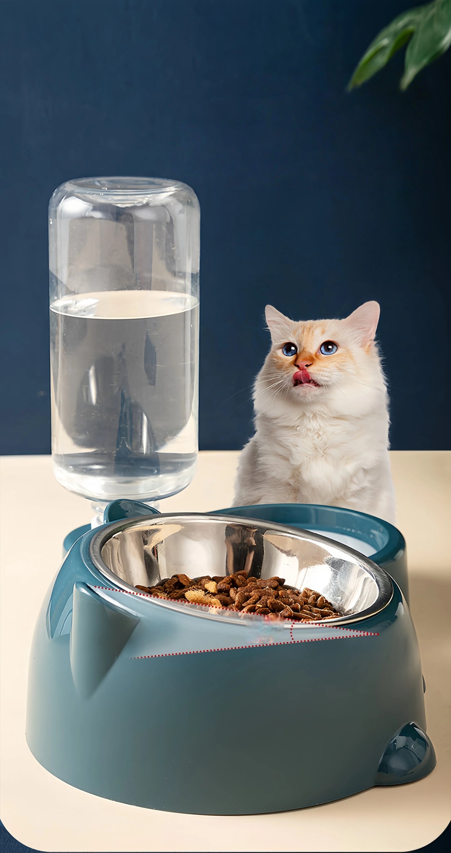 Cat Bowl 2-in-1 Drinking Water Dog Food Pot Water Bowl Rice Pot Pet Supplies Cat Bowl Pet Drinking Water Feeding Integration - AMULET RING STORE