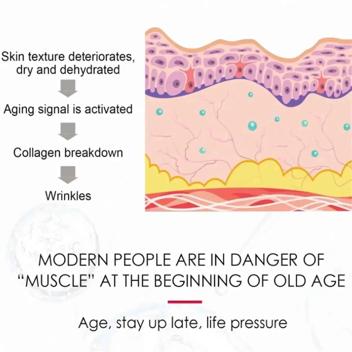 Bee Venom Instant Wrinkle Repair Cream Facial Anti-Aging Rejuvenate Fade Lines Firming Lifting Tightening Moisturizing Skincare