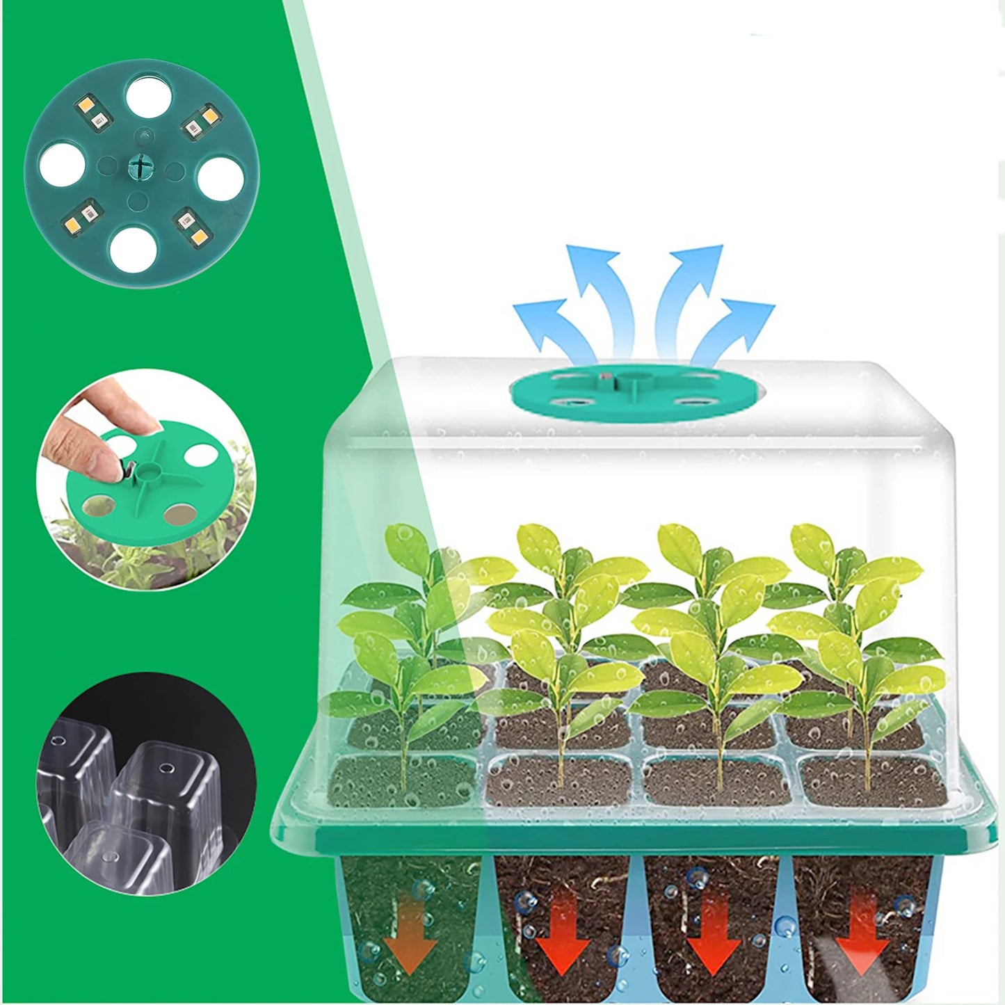 Higher Cover Nursery Tray Box with Growing light 6/12 Cell LED Full Spectrum Seedling Succulent Flower Planting Germination Pot - AMULET RING STORE