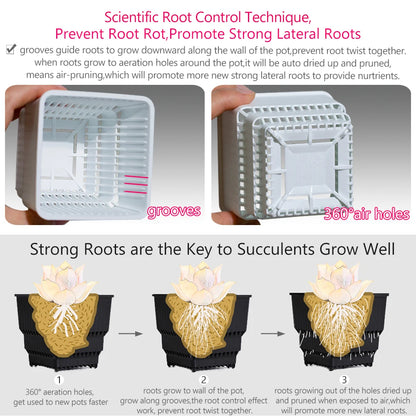Meshpot Succulent Pots Succulent Planters with Tray Plastic Succulent Cactus Pot with holes Square Succulent Seedlings Pot Match - AMULET RING STORE