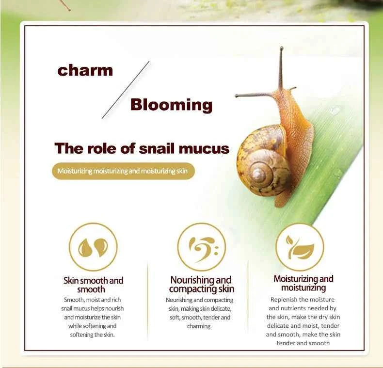 Snail Face Cream + Retinol Eye Massage Roller Serum 2pcs Moisturizing Eye Bag Face Cream Korean Skin Care Products