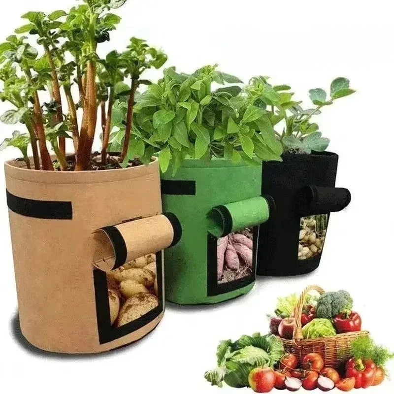 2 Size Felt plant grow bags nonwoven fabric garden potato pot greenhouse vegetable growing bags moisturizing vertical tools - AMULET RING STORE