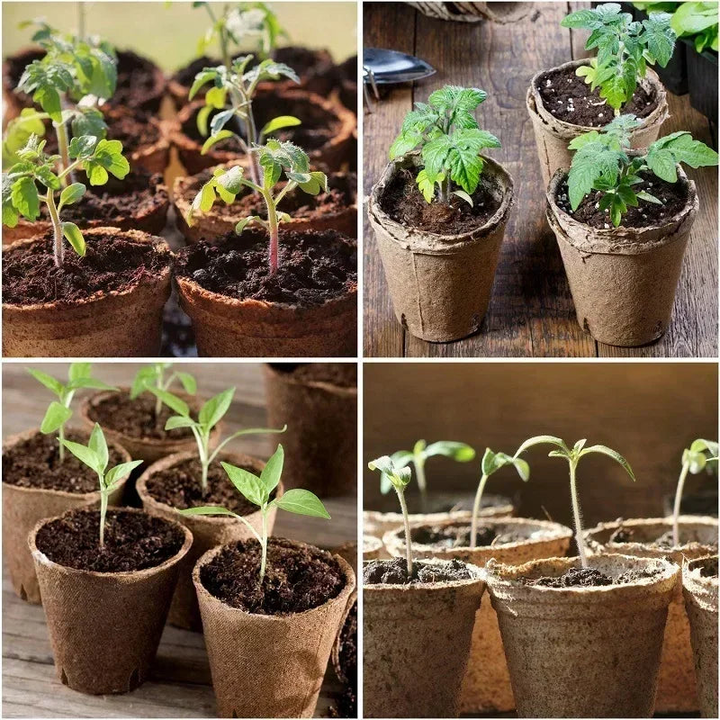 20-200PCS Environmental protection Garden Round Peat Pots Plant Seedling Starters Cups Nursery Herb Seed Tray Planting Tools - AMULET RING STORE