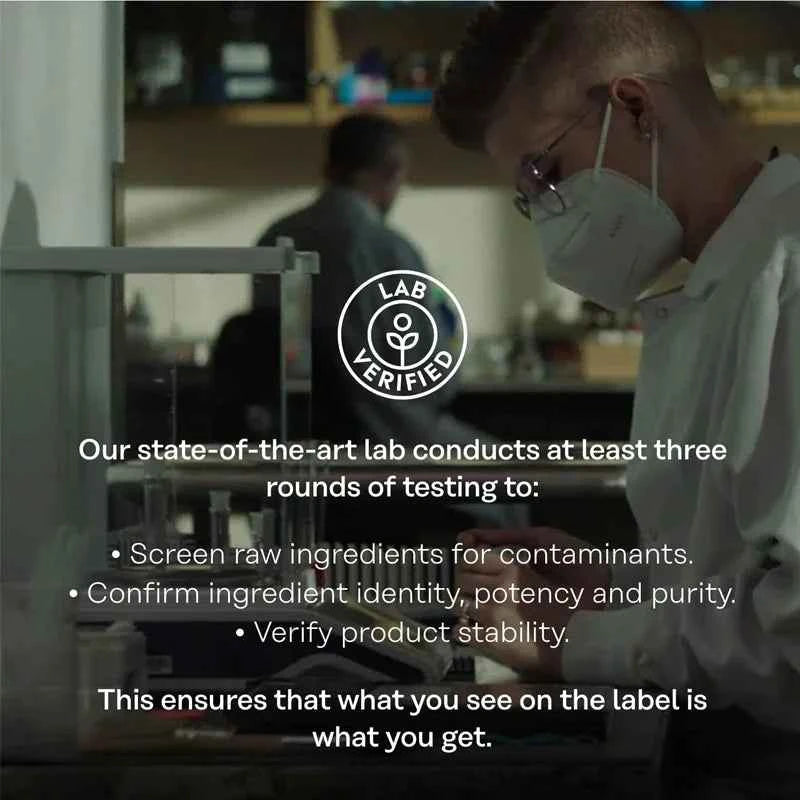 Stinging Nettle Root Capsules - Promotes Prostate and Urinary Tract Health, Reduces Urinary FrequencyCapsule