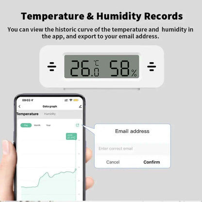 Tuya WiFi Mini Temperature Humidity For Smart Home Thermometer Hygrometer APP Remote Alarm Work with Google Home Yandex Alexa - AMULET RING STORE