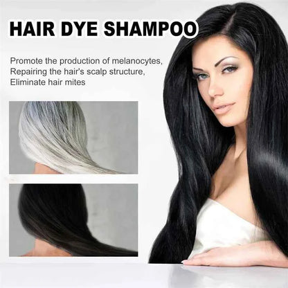2pcs Black Hair Colouring Shampoo Natural Herbal Essence 3 in 1 Colouring Shampoo Clean Dandruff Removing for Covering White