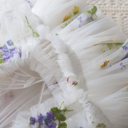 Delicate Party Prom Evening Dress Colorful Flower Embroidery Dresses Fashion Butterfly Princess Dress Birthday Princess Clothes