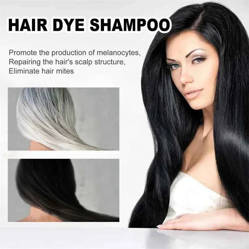 2pcs Black Hair Colouring Shampoo Natural Herbal Essence 3 in 1 Colouring Shampoo Clean Dandruff Removing for Covering White