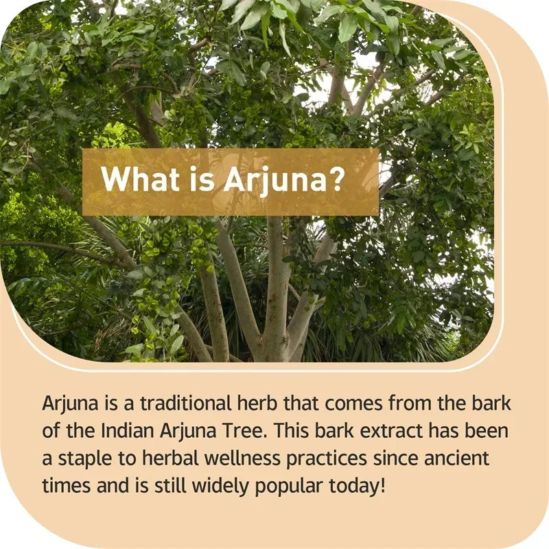 Arjuna Capsules - Supports Heart, Cardiovascular Health, Promotes Cellular Energy Production, Antioxidant, Non-GMO, Vegan - AMULET RING STORE