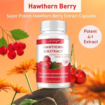 Hawthorn Berry Extract Capsule - Supports Digestive Health, Promotes Energy Production, Blood Circulation, and Boosts Immunity - AMULET RING STORE