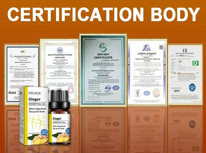 Slimming Weight Loss, Fat Burning Metabolic Increase, Lose Belly Fat, Healthy Weight Loss,Effective Safe Build Perfect Body