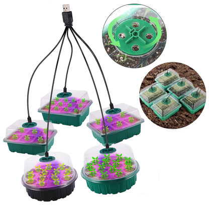 Seedling Nursery Box With LED Growing Light Seed Starter Tray Seedling Breeding Pot Garden Greenhouse Germination Planter - AMULET RING STORE