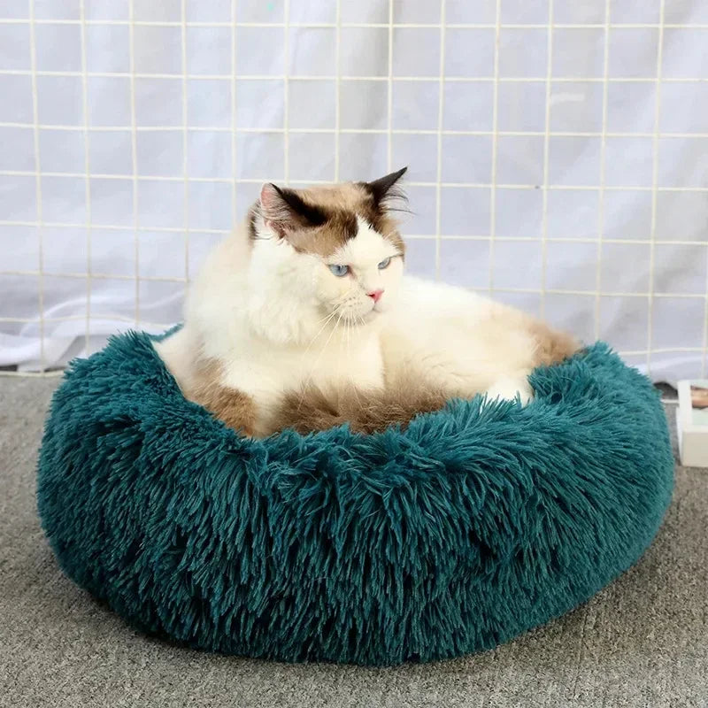 Round Cat Beds House Soft Long Plush Best Pet Dog Bed For Dogs Basket Pet Products Cushion Cat Bed Cat Mat Animals Sleeping Sofa - AMULET RING STORE