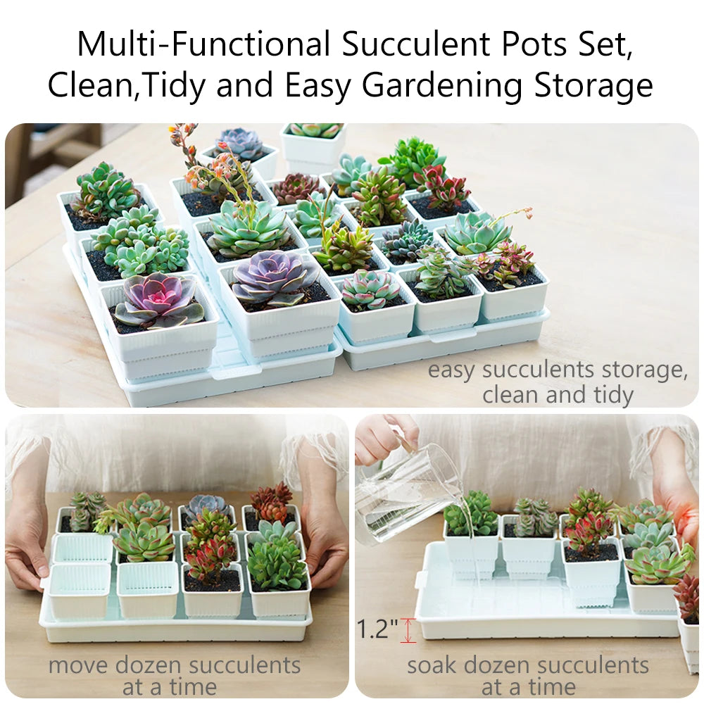 Meshpot Succulent Pots Succulent Planters with Tray Plastic Succulent Cactus Pot with holes Square Succulent Seedlings Pot Match - AMULET RING STORE