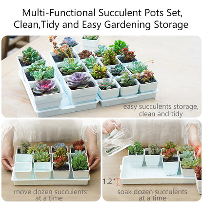 Meshpot Succulent Pots Succulent Planters with Tray Plastic Succulent Cactus Pot with holes Square Succulent Seedlings Pot Match - AMULET RING STORE