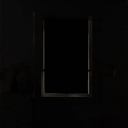 Blackout Skylight Window Blinds with Suction Cups Portable Thermal Insulated Adjustable Curtain for Bedroom Travel Car - AMULET RING STORE