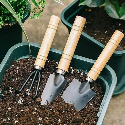 3Pcs/Set Mini Garden Tool Set For Garden Plants Flower Pot Cactus Vegetables Digging Weeding Indoor Small Plants Garden Tools - AMULET RING STORE